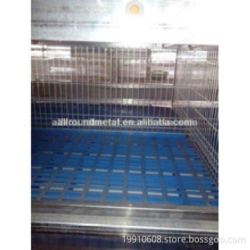 hot sale cage design for laying chicken